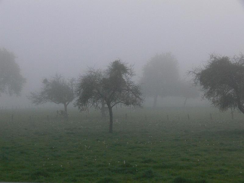 Mont Saint Michel 2010 - 275.jpg